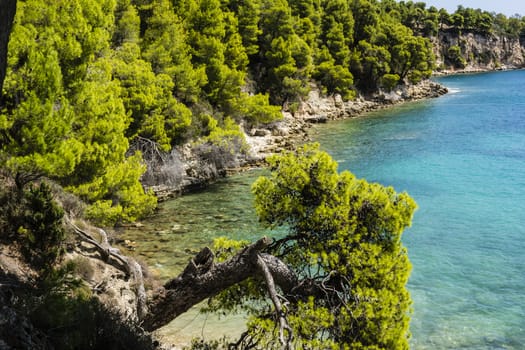 Rocky beach of alonissos at Sporades, Greece