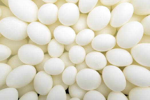 Close-up of scotland white candies with spearmint