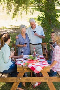 Happy seniors toasting with their family on a sunny day