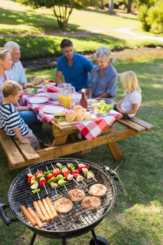 Happy family doing barbecue in the park on a sunny day