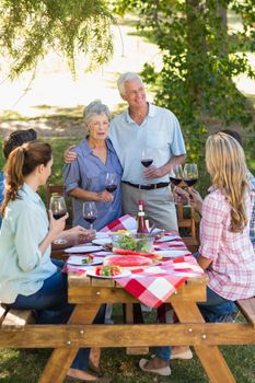 Happy seniors toasting with their family on a sunny day