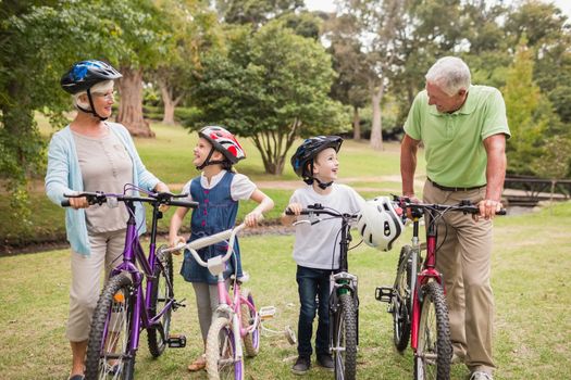 Happy grandparents with their grandchildren on their bike on a sunny day