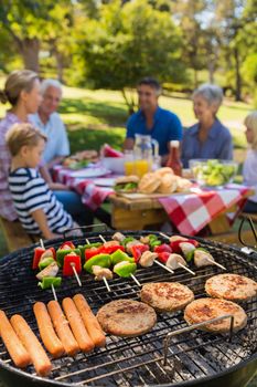 Family doing barbecue in the park on a sunny day