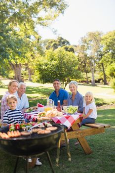 Happy family having picnic in the park on a sunny day