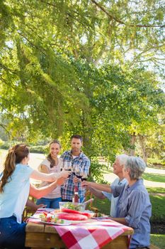 Happy couple toasting with their family on a sunny day