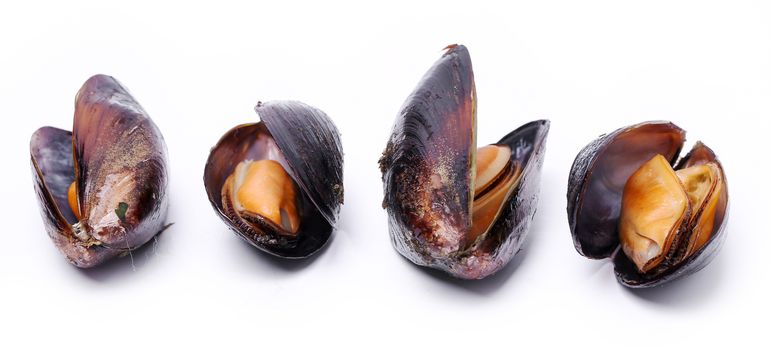 Delicious mussels on a white background