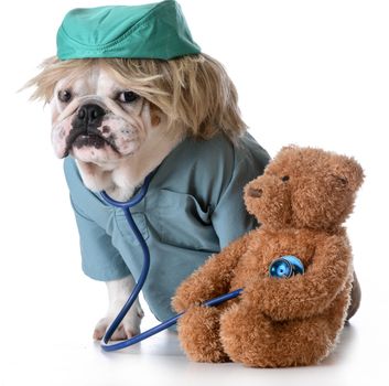 english bulldog dressed as a veterinarian on white background







english bulldog dressed as a veterinarian on white background







veterinarian, isolated, shirt, medical, sitting, stethoscope, vet, english, bulldog, adorable, humanize, looking, puppy, health, canine, purebred, dog, doctor, veterinary, wig, hat, teddy, bear, heart, listen, monitor, expression, helping, caring,