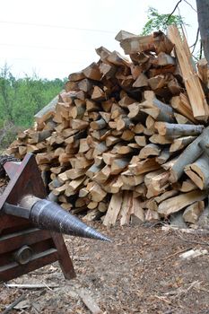 Pile of beech logs with cutting machine in front