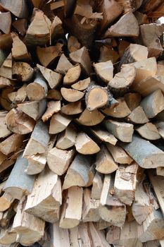 Closeup of beech logs piled up