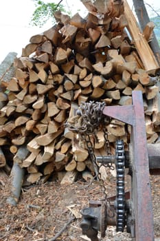 Pile of beech logs with cutting machine in front