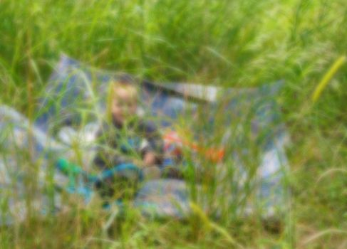 Child in the tall grass on a sunny lawn, blur background with shallow depth of field bokeh effect
