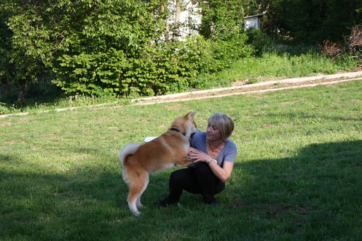 Akita Inu puppy playing with lady in village garden