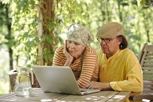 Senior couple outdoors with a laptop, They're looking at the computer. There's a sunny background of trees and bushes