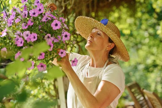 Happy senior woman tends the flowers in a hanging pot. There is a green background of blurred plants, and wooden outdoor chairs are visible in the lower right corner.