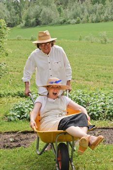 Senior man carries a senior woman in a wheelbarrow outdoors near a vegetable patch. They're laughing and having fun.