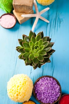 Spa accessories, fresh and organic concept
