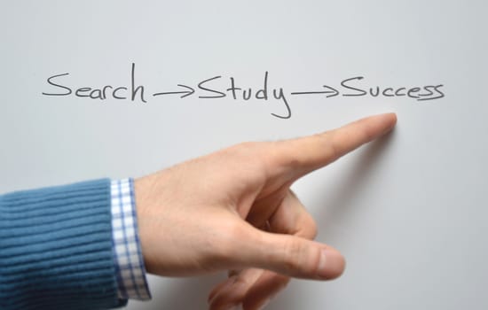 search study success