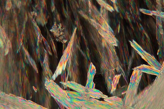 Crystals of acetylsalicylic acid under a microscope. The crystals are precipitated from a solution on a microscope slide and photographed in polarized light.