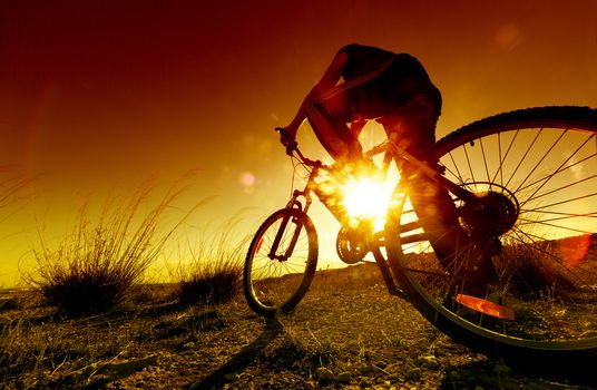 Dreamy sunset and healthy life.Fields and bicycle