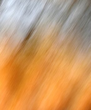 abstract background or texture fall color theme blured