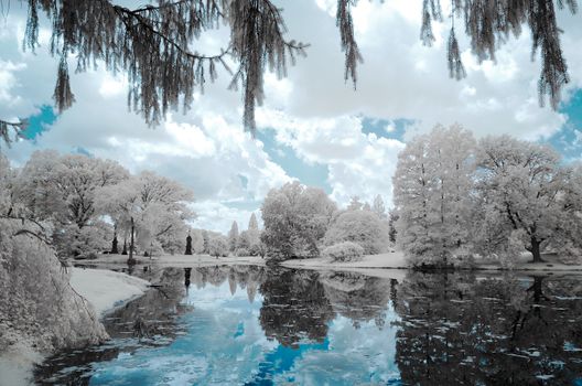 Blue Landscape of forest and the pond, infrared photography.