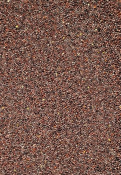 Brown Mustard Seeds as a background