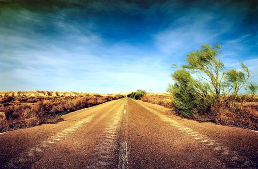 Desert road,road trip concept.