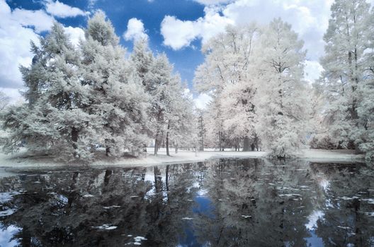 Blue Landscape of forest and the pond, infrared photography.