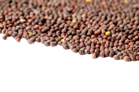 Indian Brown Mustard Seeds