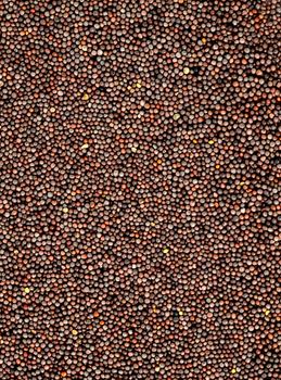 Brown Mustard Seeds as a background