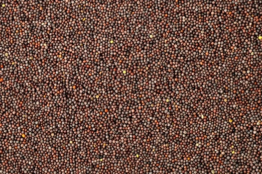 Brown Mustard Seeds as a background