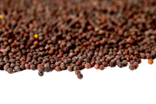 Indian Brown Mustard Seeds