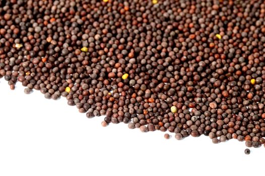 Indian Brown Mustard Seeds