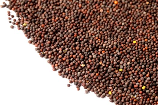 Indian Brown Mustard Seeds