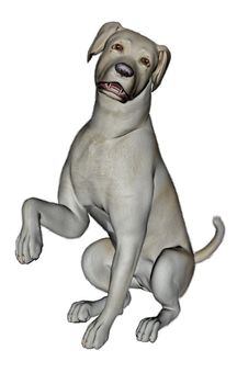 Sad labrador dog sitting isolated in white background - 3D render