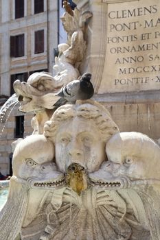 Pigeon sitting on a sculpture, fountain on the Piazza della Rotonda in Rome, Italy