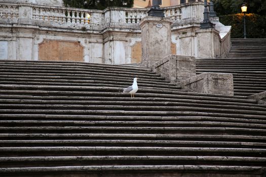  Spanish square with Spanish Steps  in Rome Italy, piazza Spagna ( photographed very early in the morning )