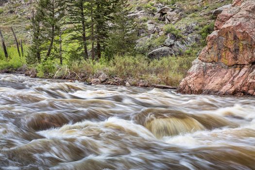 Cache la Poudre River west of  Fort Collins in northern Colorado - springtime scenery with a snow melt run off