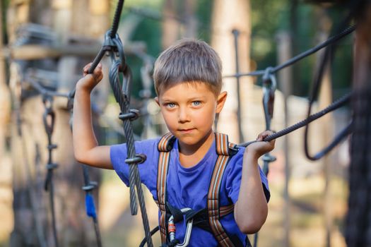 Happy child, preschool boy enjoying activity in a climbing adventure park on a summer day