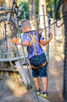 Happy child, preschool boy enjoying activity in a climbing adventure park on a summer day