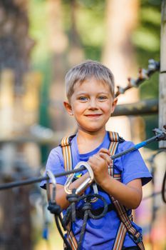 Happy child, preschool boy enjoying activity in a climbing adventure park on a summer day