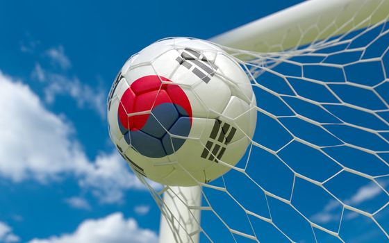 South Korea flag and soccer ball, football in goal net