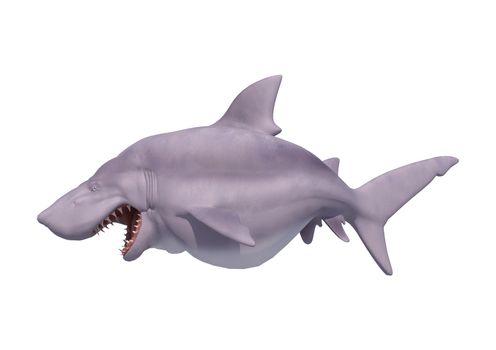 3D digital render of a cartoon white shark isolated on white background