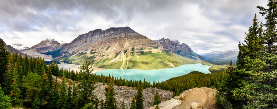 Panoramic view of Peyto lake and Rocky mountains, Alberta, Canada