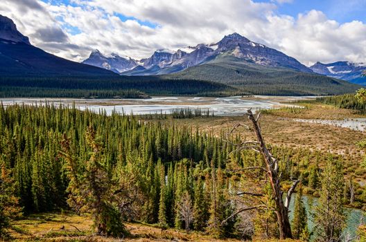 Scenic view of river and montains near Icefield parkway, Rocky Mountains, Canada