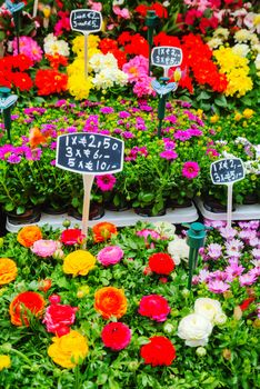 AMSTERDAM - APRIL 17: Stalls at the Floating flower market on April 17, 2015 in Amsterdam, Netherlands. It’s usually billed as the “world’s only floating flower market”.