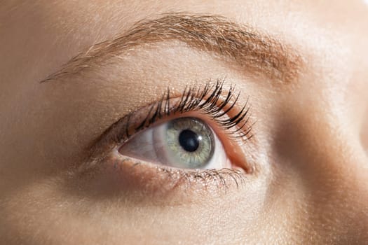 Conceptual Close up Gray Eye of a Woman Looking Up