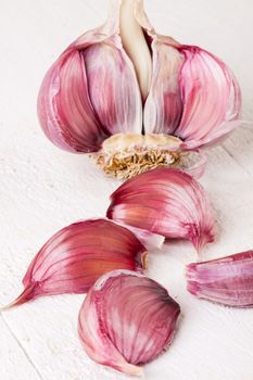 Fresh uncooked garlic bulb with loose cloves with one clove cut through lengthwise to show the texture, on a white background