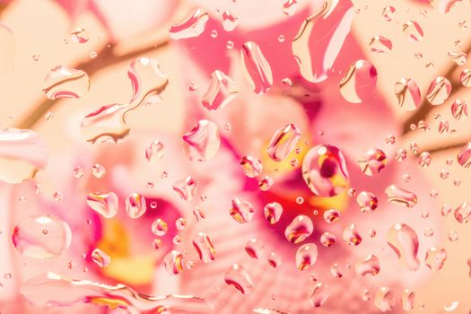 color abstract background with water drops on glass with flower in background 