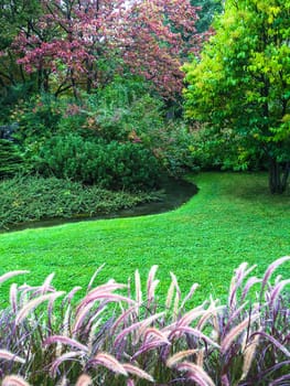 Beautiful colorful garden with green lawn and decorative grass.